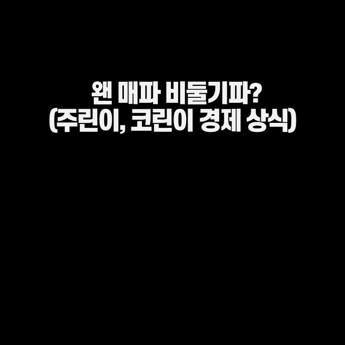  매파 비둘기파 뜻 간단 설명