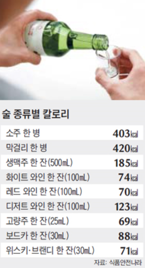  소주 이슬 마시면 살이 안찐다. 그럼 술살은 왜 찌는것일까요?