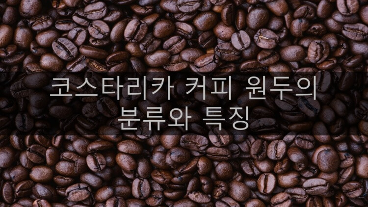 코스타리카 커피 원두