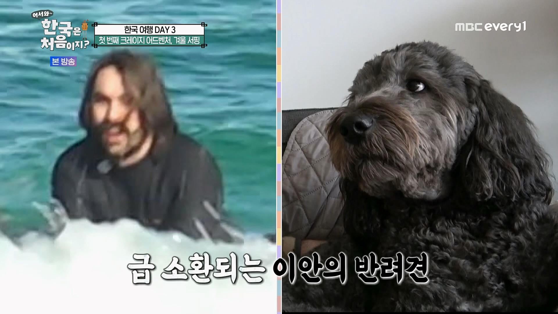 어서와~ 한국은 처음이지.E283.230216p.H264-F1RST.mp4_20230218_181048.304.jpg