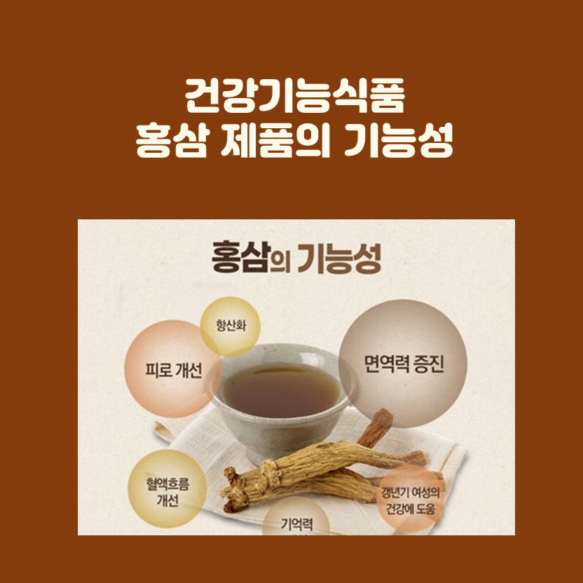  어린이홍삼 정보 및 제품비교