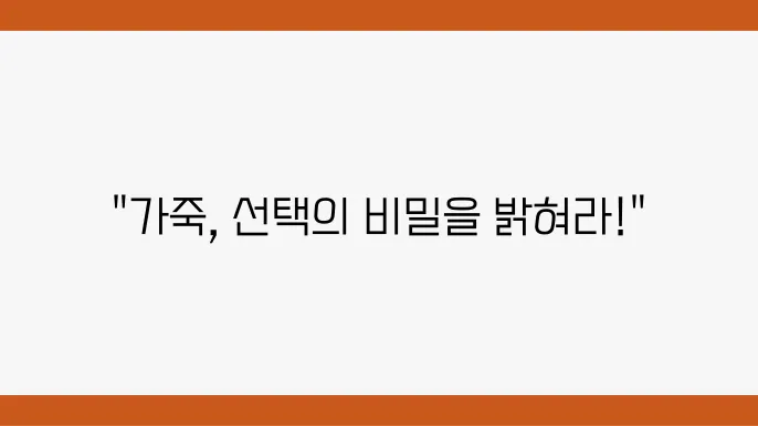 가죽 관리의 중요성