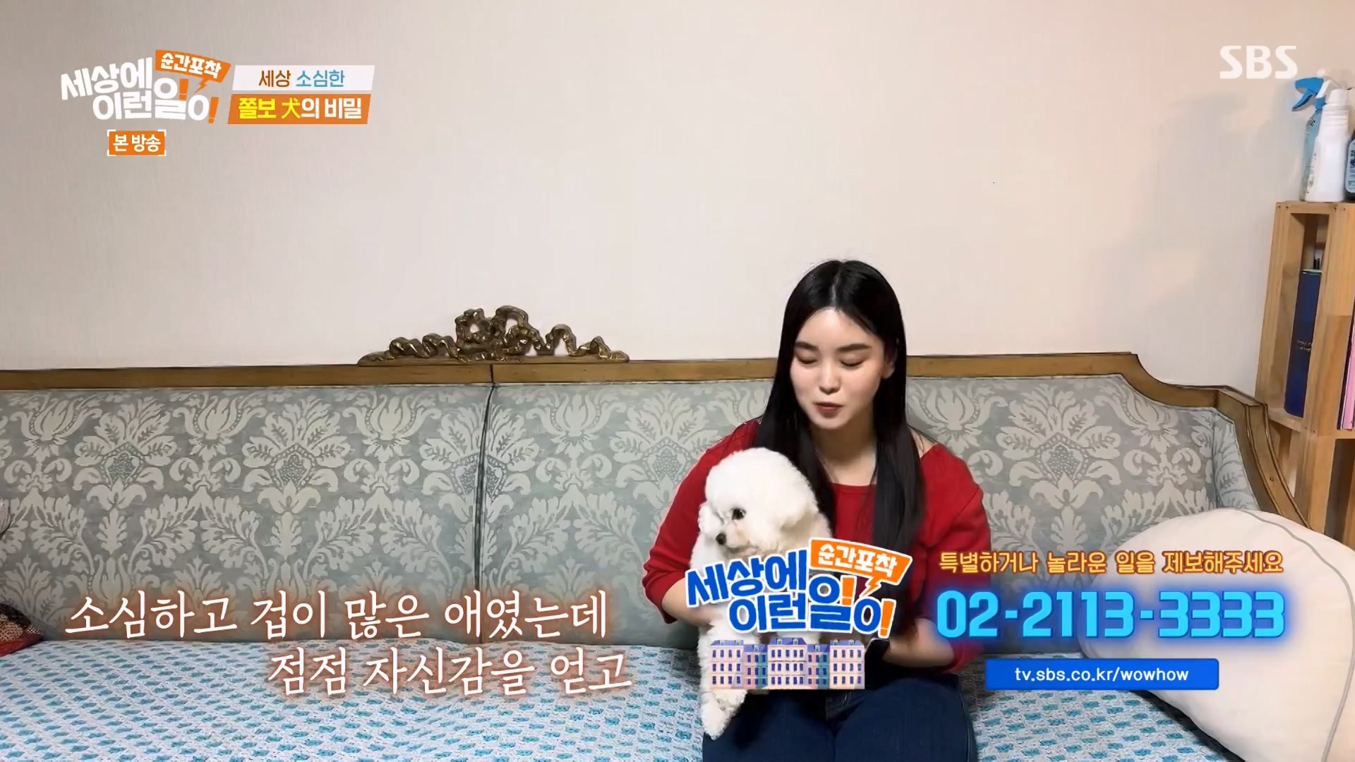 순간포착 세상에 이런일이.E1263.240203p-NEXT.mp4_20240204_164022.162.jpg