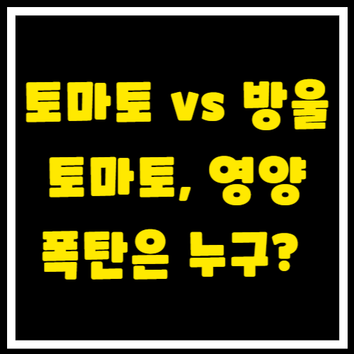 토마토 vs 방울토마토, 영양 폭탄은 누구? 당신의 건강을 위한 최고의 선택!