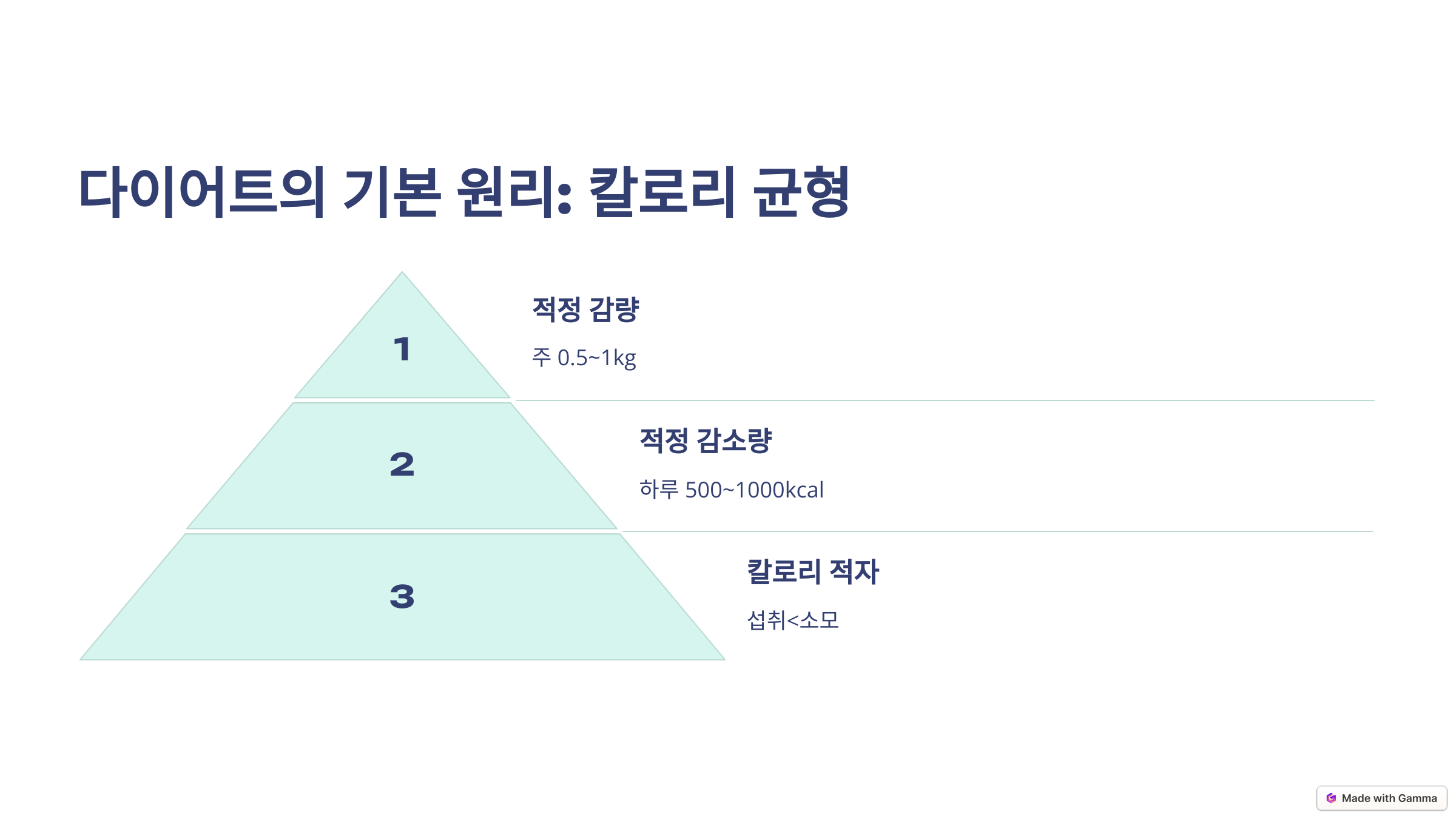 다이어트 방법