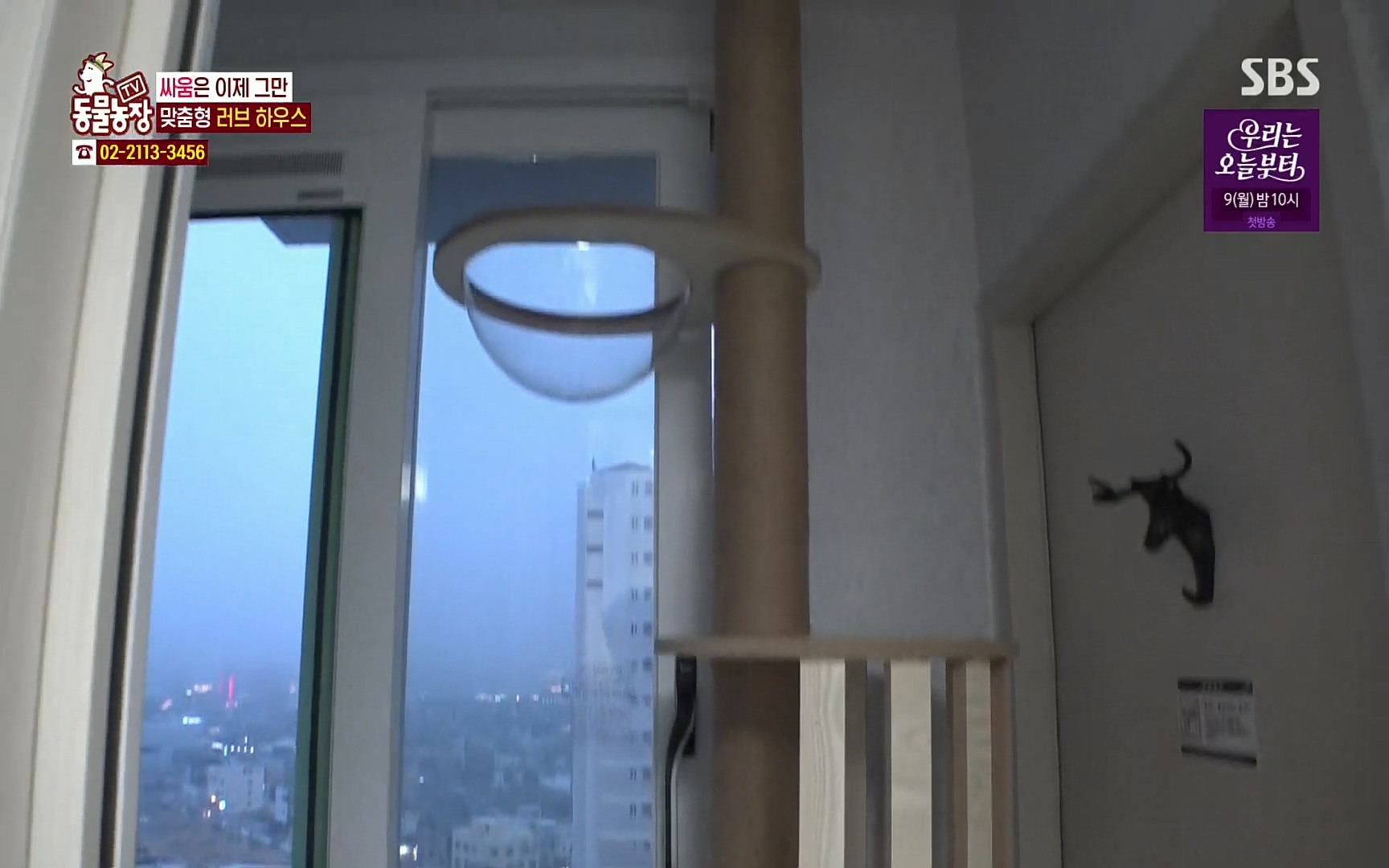 TV 동물농장.E1067.220501p.H264-F1RST.mp4_20220501_183222.479.jpg