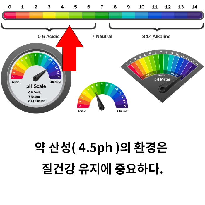 산성,약산성,ph