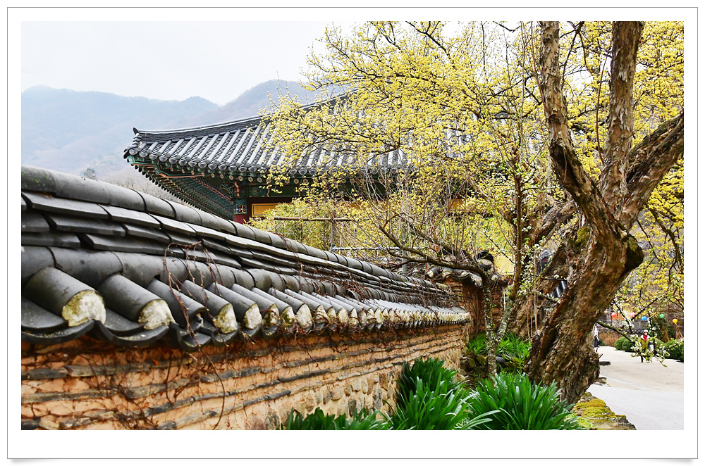 송광사 이미지
