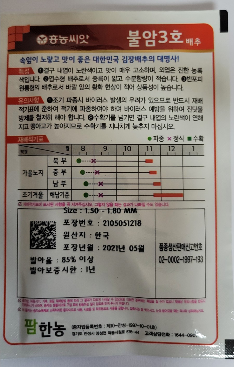 가을배추 가을 김장배추 심는시기는 언제가 6