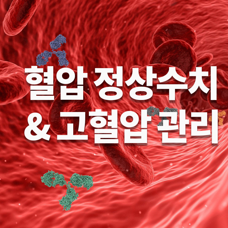  혈압 정상수치 범위와 갤럭시 워치4 혈압 측정 기능으로 고혈압 관리& 고혈압 낮추는 방법 7가지 수칙