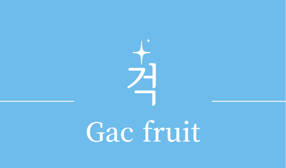 &#39;걱(Gac fruit)&#39;