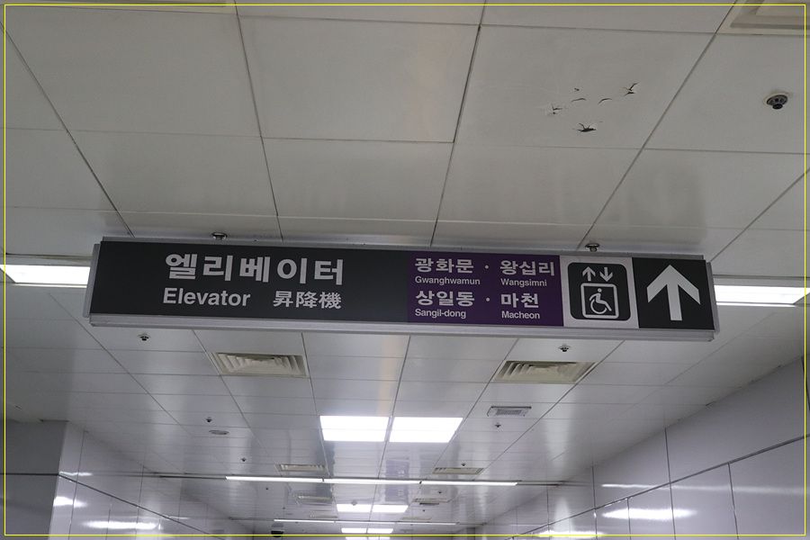 김포 전철노선도 5호선 김포공항역에 설치된, 30