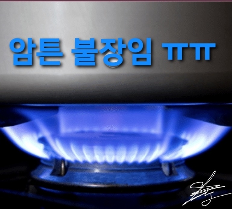  불장