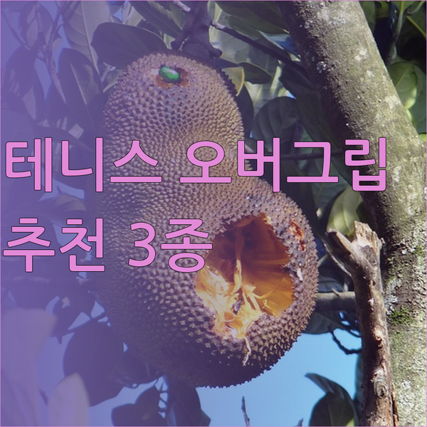 테니스 오버그립 추천 3종 비교분석 