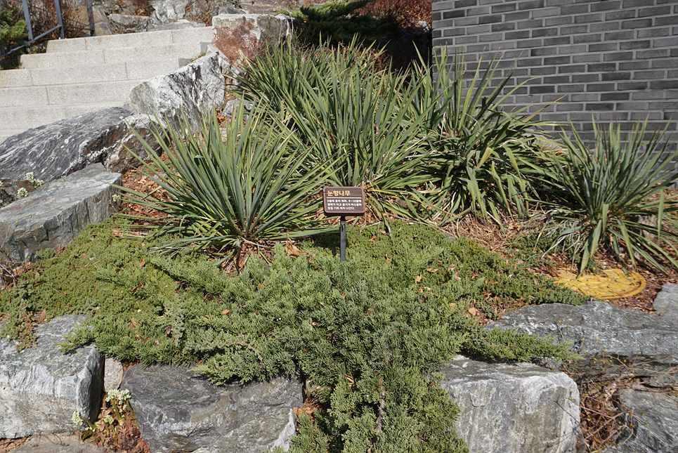 230314 동만봉 3 125