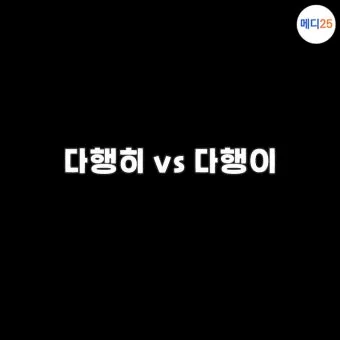 다행히 다행이 다행히도 다행이다 맞춤법_14