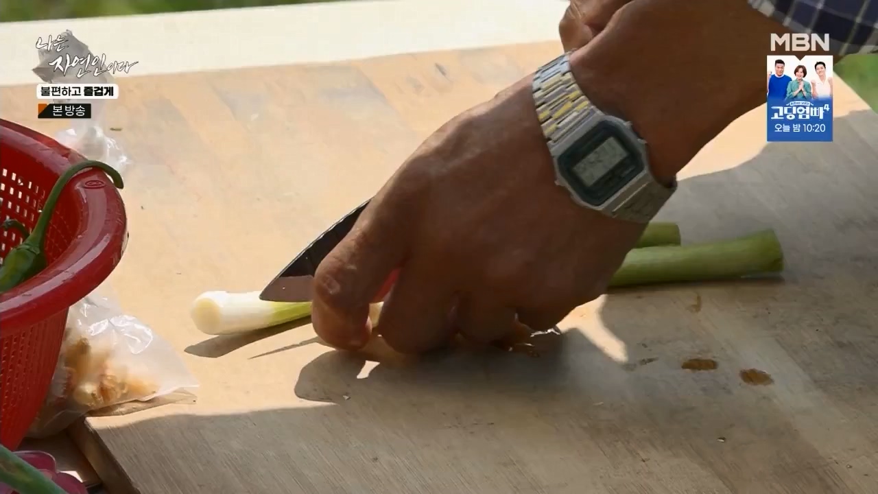 나는 자연인이다.E566.230810p.WANNA.mp4_20230810_202554.655.jpg