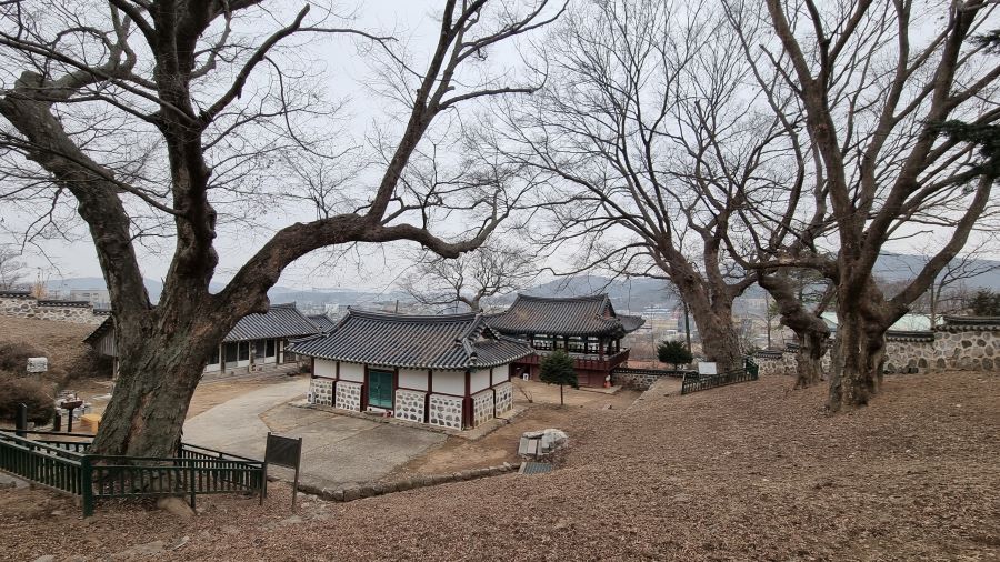 노거수 느티나무 다속 그루&#44; 한가운데는 명륜당&#44; 그 앞에 풍화루&#44; 왼쪽에 관리실&#44;