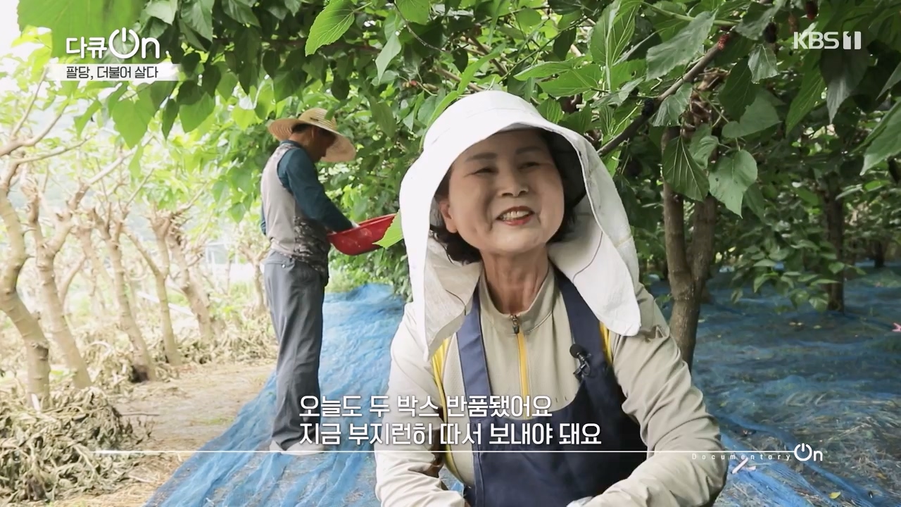다큐 온.E208.230730p-NEXT.mp4_20230802_202543.174.jpg