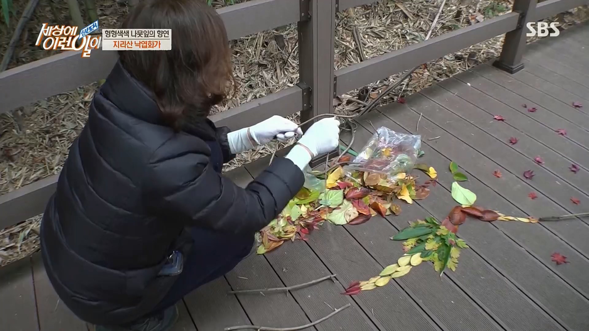 순간포착 세상에 이런일이.E1211.221227p.H264-F1RST.mp4_20221228_195148.688.jpg