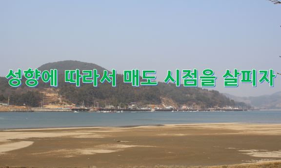 유상증자가 주식 시장의 호재로 바라보는