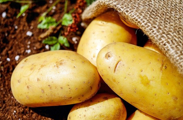 위궤양&middot;속 쓰림에 약이 되는 식품 - 감자