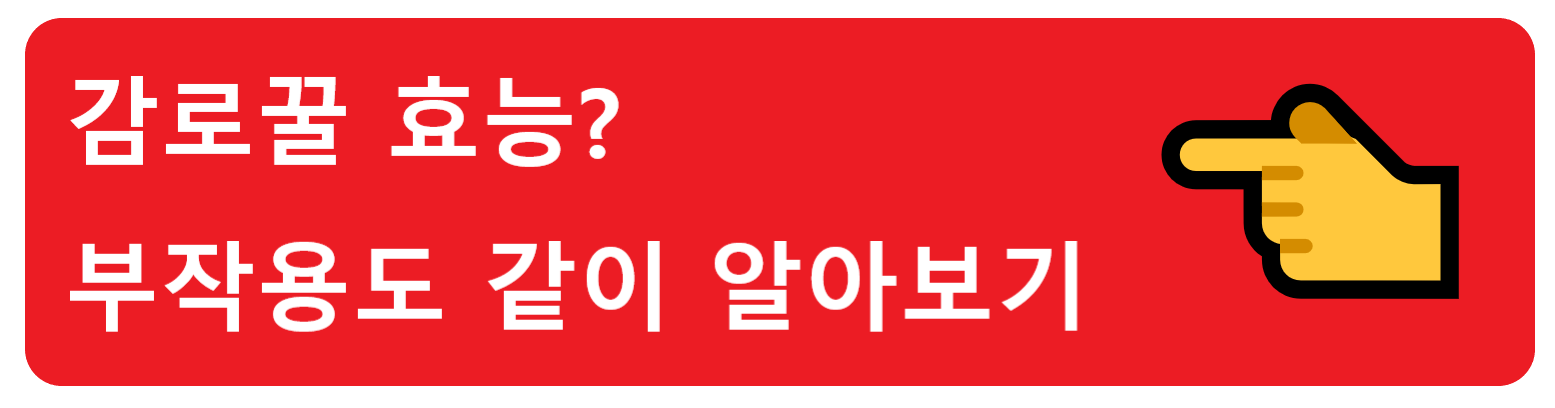 로즈힙 퓨레 효능? 향과 맛, 건강 모두 잡은 셀럽들이 즐겨먹는 슈퍼푸드!