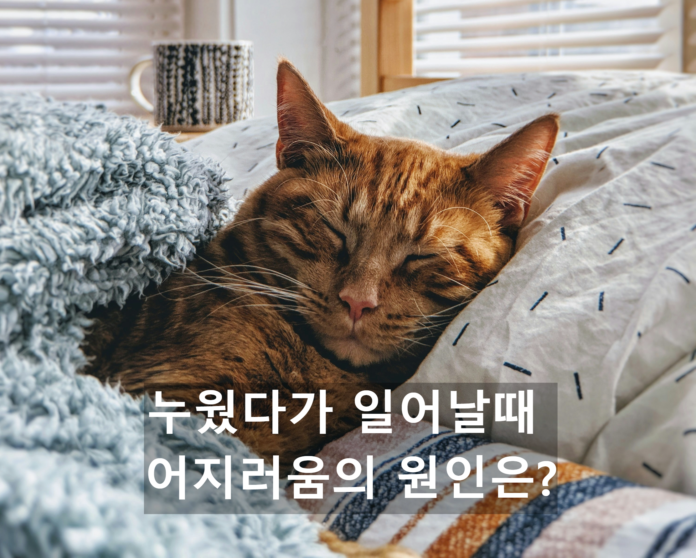  누웠다가 일어날때 어지러움 원인은?