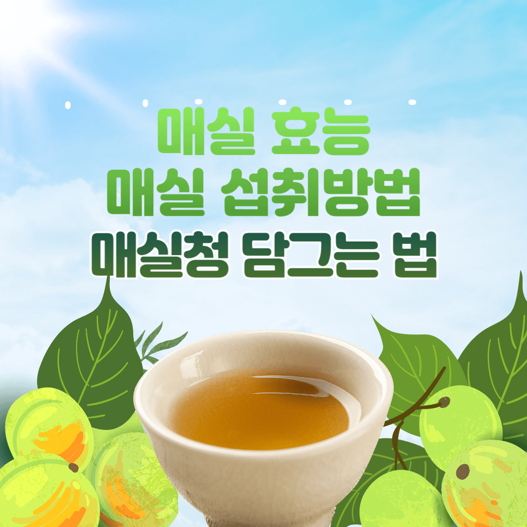 매실-효능-매실청-담그는-법