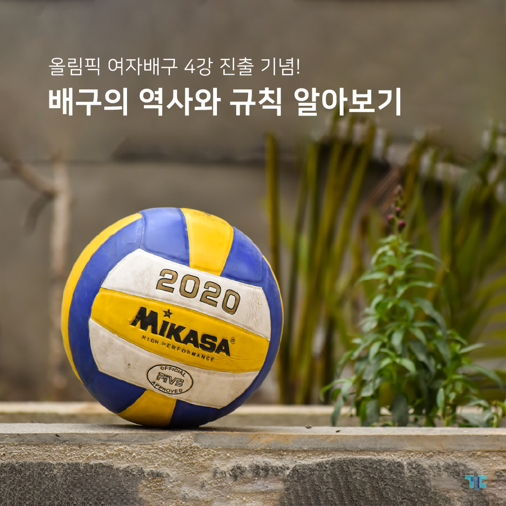  올림픽 여자배구 4강 진출! 배구 규칙 유니폼 알고 우승의 꿈을 꾸다