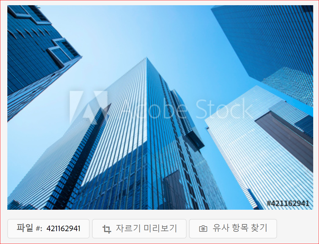  사진들은 넘쳐나는데...