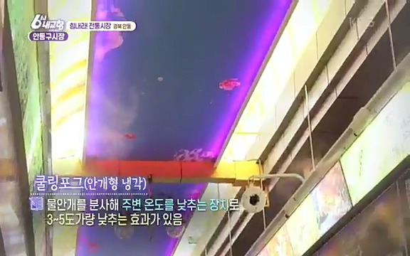 220815_청산에 살리라.ts_20220816_205540.645.jpg