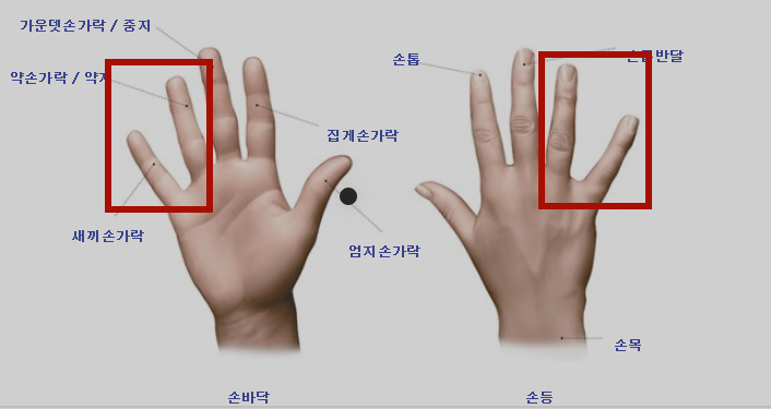 손가락마디통증의 원인과 증상