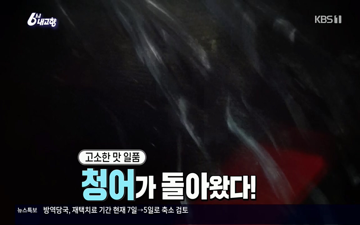 6시 내고향.E7505.220407p.H264-F1RST.mp4_20220411_180229.248.jpg