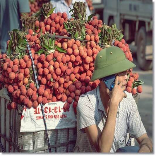 리치 판매하는 베트남 길거리 상인