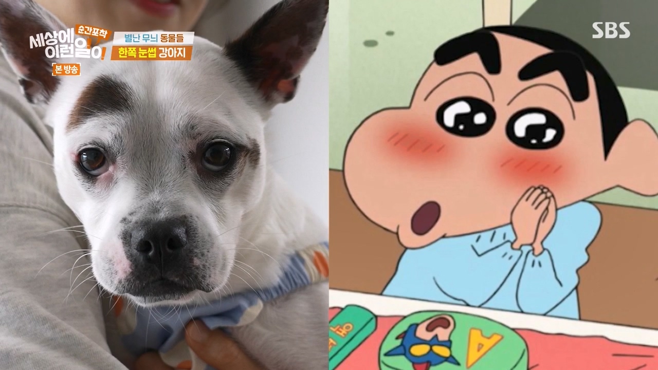 순간포착 세상에 이런일이.E1270.240324p-NEXT.mp4_20240324_164816.316.jpg