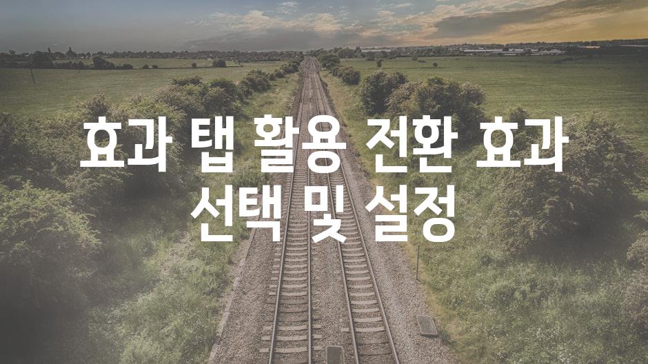 효과 탭 활용 전환 효과 선택 및 설정