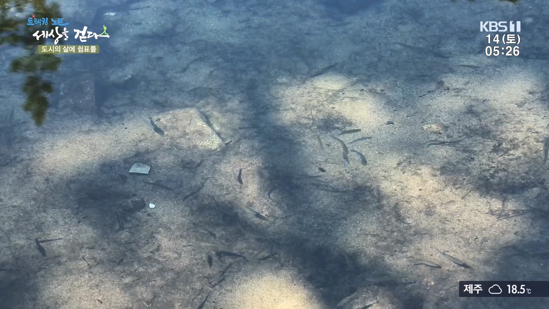 트레킹노트 세상을 걷다.E290.231014p.H264-F1RST.mp4_20231014_180004.311.jpg