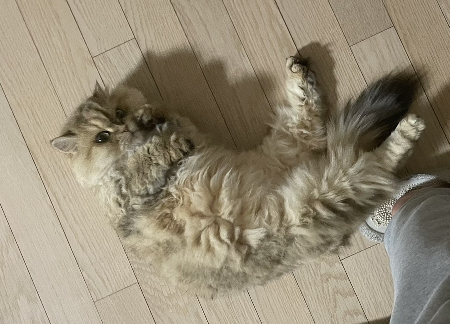 도순 이미지