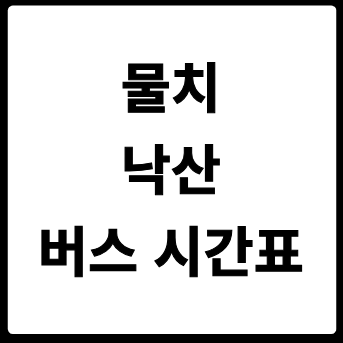 물치 낙산 버스 시간표