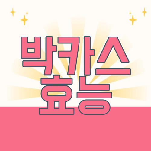 박카스 효능