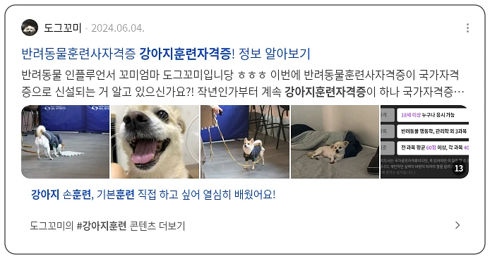 강아지훈련 자격증_3_subsection