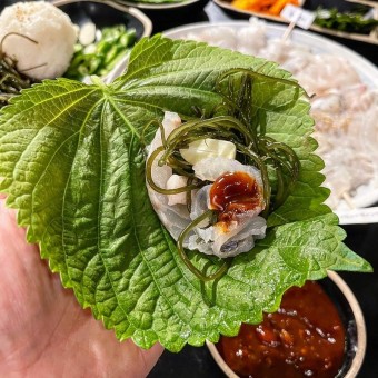 졸복회
