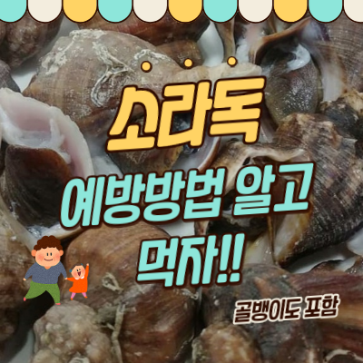  소라독 증상 예방!!이유는 테트라민