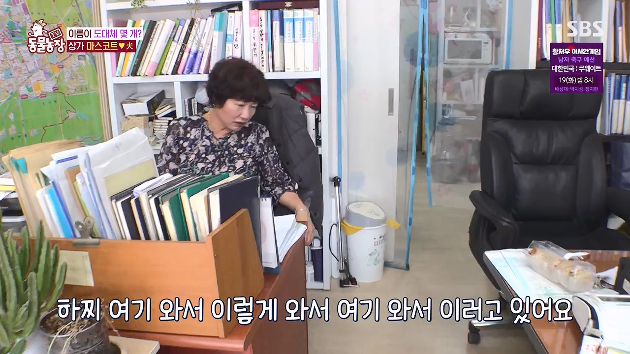 TV 동물농장.E1138.230918p-NEXT.mp4_20230917_174225.423.jpg
