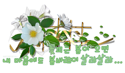 꽃피는봄이오면카페 이미지
