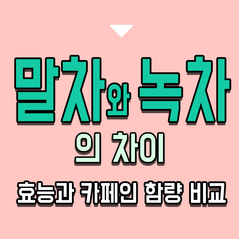 타이틀-말차와-녹차의-차이-효능과-카페인-함량-비교