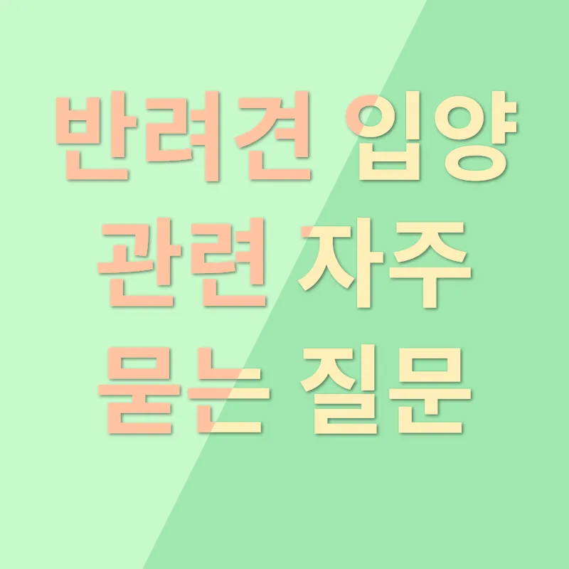 반려견 입양_4