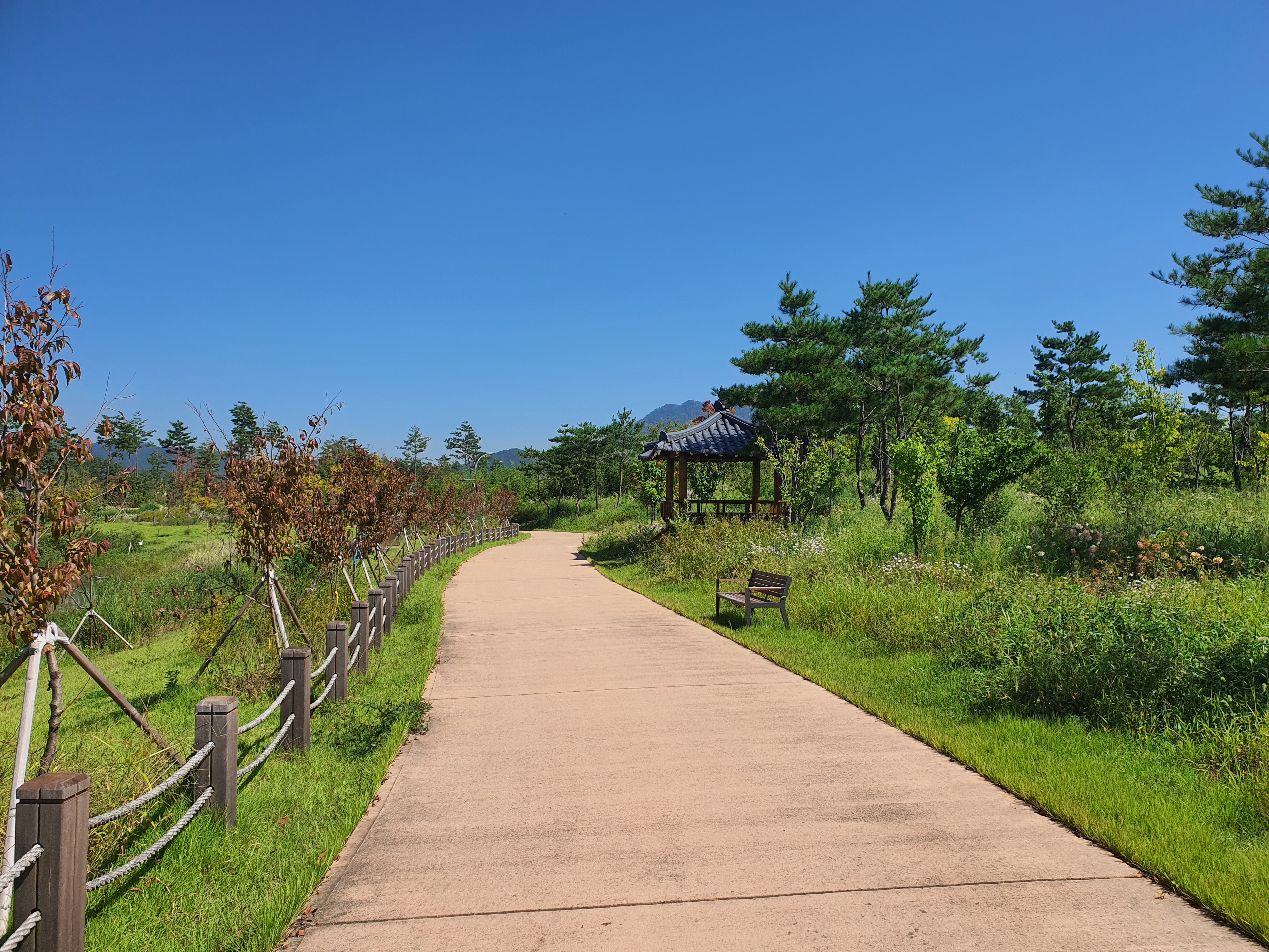 국립세종수목원 야간 개장 이용 안내 할인 혜택 세종 가볼만한 곳