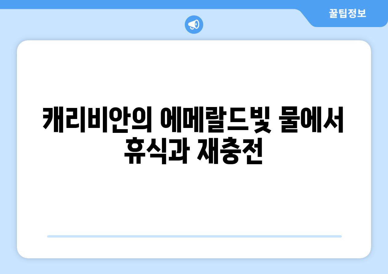 캐리비안의 에메랄드빛 물에서 휴식과 재충전